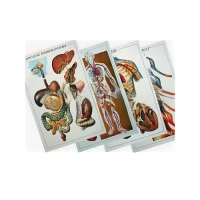 Таблицы рельефные - «globural.ru» - Кировград