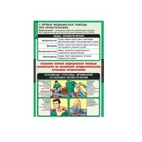 ОБЖ Правила оказания первой медицинской помощи (комплект таблиц) - «globural.ru» - Кировград