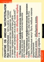 Русский язык. Числительное и местоимение (комплект таблиц) - «globural.ru» - Кировград