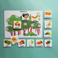 Пособие "Овощи и фрукты" - «globural.ru» - Кировград