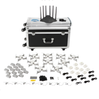 Рой дронов (10 дронов) - «globural.ru» - Кировград