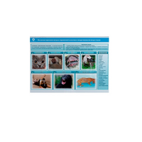 Стенд-планшет светодинамический «Острые отравления животных лекарственными препаратами» - «globural.ru» - Кировград