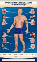 Электрифицированный стенд-тренажер "Травматизм и меры оказания первой помощи" - «globural.ru» - Кировград