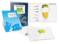 Комплект транспарантов «Корень. Стебель. Лист (Внутреннее строение)» - «globural.ru» - Кировград