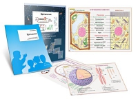 Комплект транспарантов «Цитология» - «globural.ru» - Кировград