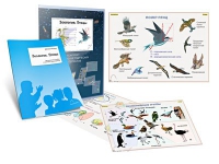 Комплект транспарантов «Зоология. Птицы» - «globural.ru» - Кировград