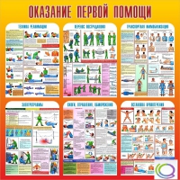 Стенд "Оказание первой помощи" - «globural.ru» - Кировград