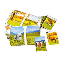 Настольно-печатная игра "Вокруг света" - «globural.ru» - Кировград