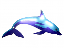 Прибор интерактивный световой «Дельфин» - «globural.ru» - Кировград