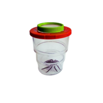 Коробка для изучения насекомых с лупой (вариант 2) - «globural.ru» - Кировград