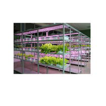 Обучающий комплект "АГРОкласс" - «globural.ru» - Кировград