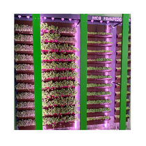 Вертикальная ферма "Моя Микрозелень" комплектация Школьная - «globural.ru» - Кировград