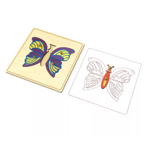 Строение бабочки с контуром. - «globural.ru» - Кировград