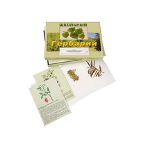 Гербарий "Для начальной школы" (30 видов, с иллюстрациями) - «globural.ru» - Кировград