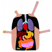 Фланелеграф-фартук "Анатомия" - «globural.ru» - Кировград