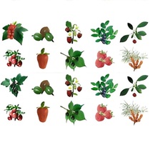 Комплект карточек. Серия наглядных пособий "Запоминай, играй, считай". Ягоды. - «globural.ru» - Кировград