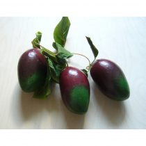 Муляж "Ветка манго" - «globural.ru» - Кировград