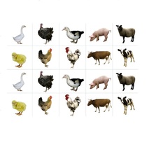 Комплект карточек. Серия наглядных пособий "Запоминай, играй, считай". Домашние животные - «globural.ru» - Кировград