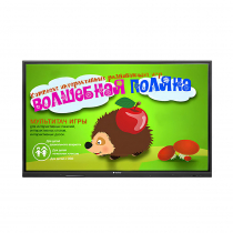 Интерактивная сенсорная панель 50" (UHD 4K) - «globural.ru» - Кировград