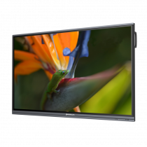 Интерактивный программно-аппаратный комплекс Geckotouch Interactive Pro IP75HT-E в комплекте с настенным креплением - «globural.ru» - Кировград