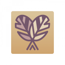 Тренажер-корректор зеркального письма “Почерк Леонардо” - «globural.ru» - Кировград