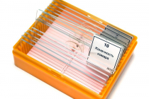 Набор микропрепаратов N10 - «globural.ru» - Кировград