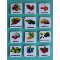 Набор карточек "Ягоды" - «globural.ru» - Кировград