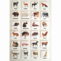 Набор карточек "ЖИВОТНЫЕ" - «globural.ru» - Кировград