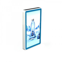 Видеопанель PROMO WALL 55 - «globural.ru» - Кировград