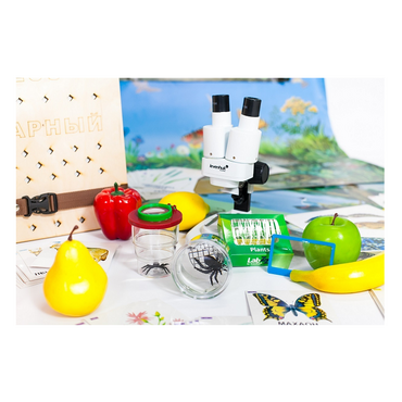 Учебно-методический набор для проектной деятельности в ДОО №1–ЕН (химия, биология, анатомия) - «globural.ru» - Кировград