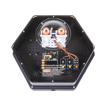 Модуль интерактивный с искусственным интеллектом "Наблюдатель" - «globural.ru» - Кировград