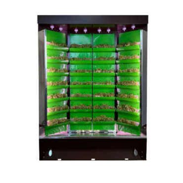 Вертикальная ферма "Моя Микрозелень" комплектация "Театро настольная" - «globural.ru» - Кировград