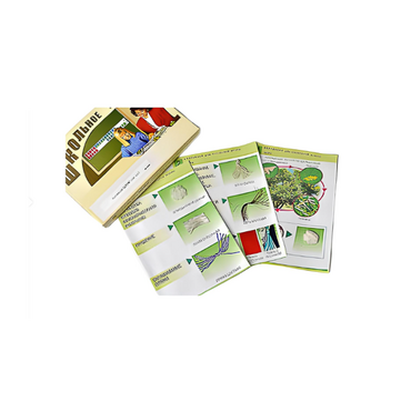 Коллекция "Шелк" (начальная школа) - «globural.ru» - Кировград