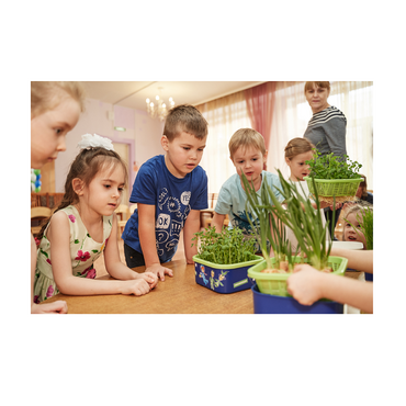 Обучающий комплект экологической направленности "Сити-фермер 2.0 Детский сад" 20 человек - «globural.ru» - Кировград