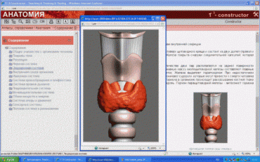 Анатомия онлайн. Школьный атлас - «globural.ru» - Кировград