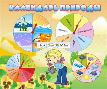 Стенд "Календарь природы" (вариант 1) - «globural.ru» - Кировград