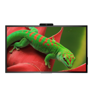 Интерактивная панель Geckotouch Interactive 75R - «globural.ru» - Кировград