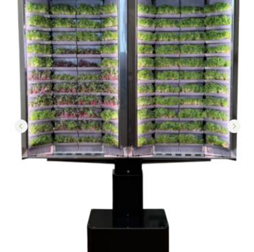 Вертикальная  ферма «Моя микрозелень» комплектация  «Театро настенная» - «globural.ru» - Кировград