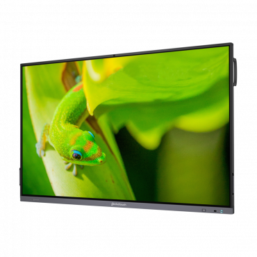 Интерактивный программно-аппаратный комплекс Geckotouch Interactive IP75GT-C в комплекте с настенным креплением - «globural.ru» - Кировград
