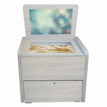 Сундучок психолога-дефектолога "Антошка" - «globural.ru» - Кировград